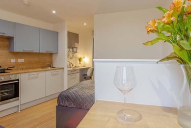 1 bed studio, Ilkeston Road, Radford, Nottingham, NG73GE - Image 5